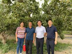 b085038f39d7aba86c256b2c1b6df9e